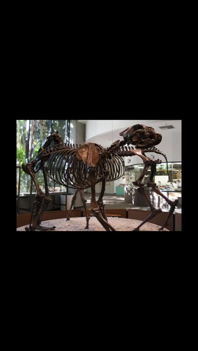 Short-faced bear || Description and Facts!