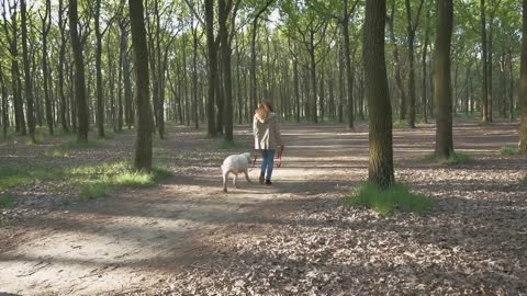 Girl with dog walking in park in one spring day, slow motion