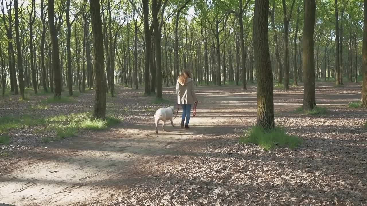 Girl with dog walking in park in one spring day, slow motion