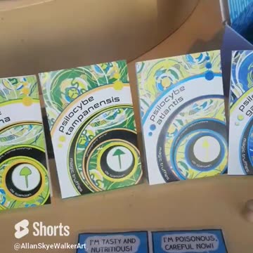 White Rabbit. Face in the Clouds. 🌬 #Nijmegan #herbal #life #choice #rumble