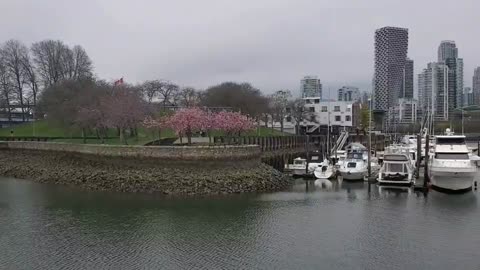 Charleson Park walk