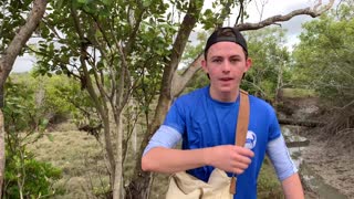 Catching MUD CRABS BAREHANDED!