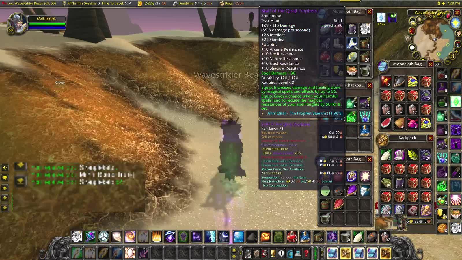 World of Warcraft Classic Shadow Fishing in Tanaris, can we catch the white whale?