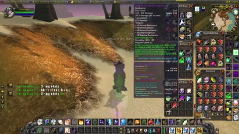 World of Warcraft Classic Shadow Fishing in Tanaris, can we catch the white whale?