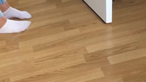Black dog on white floor sprints then stops