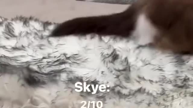 WHO’S REACTION WAS YOUR FAVORITE