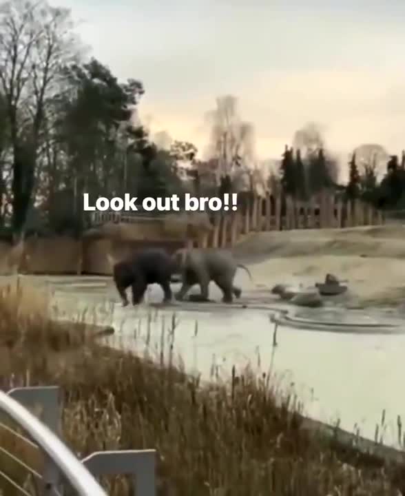 THAT WILL MAKE YOU SMILE? WHO DOES THAT?