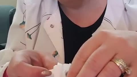 Feeding the new neonate kittens