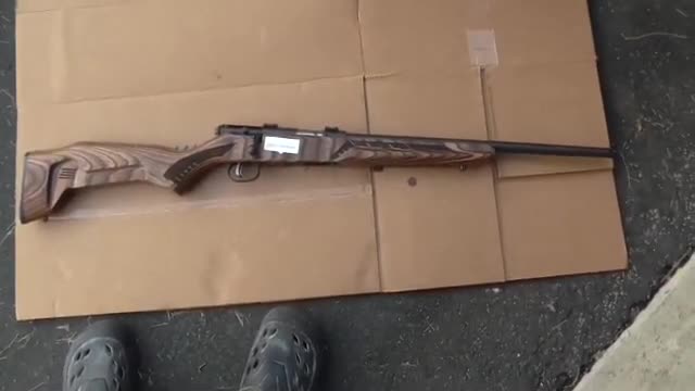 Savage 93R17 Minimalist Brown in 22lr