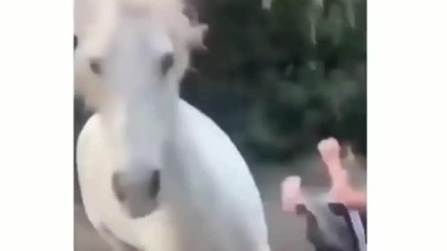 Not every horse likes the rider