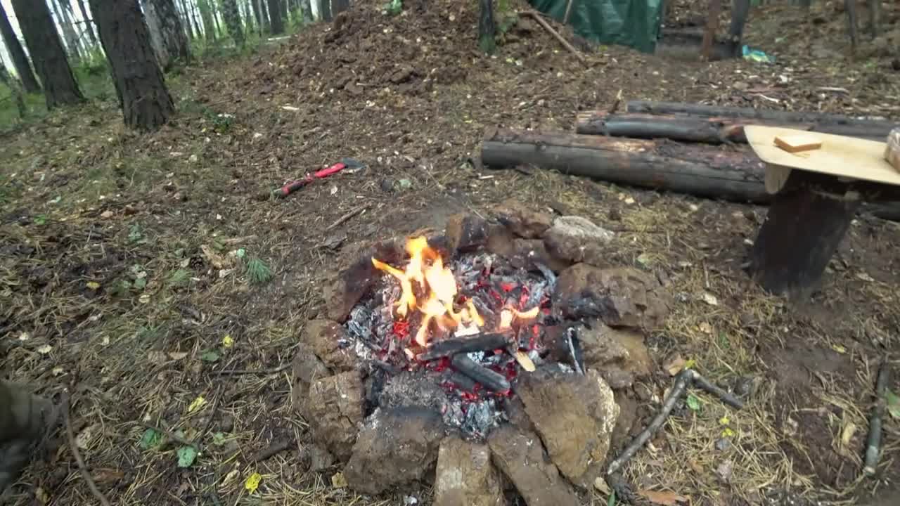 depths of the starry sky, and then burned