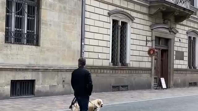 Stylish man with a dog