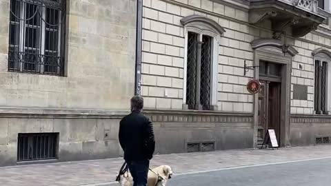 Stylish man with a dog