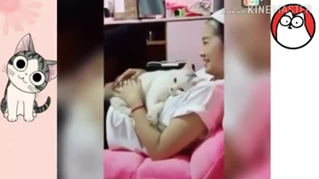 Funny cats 🐈 in the 🌎