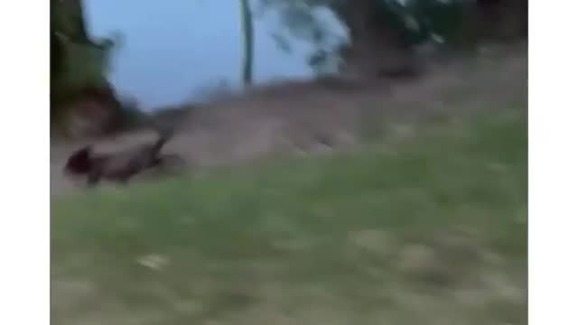 Best Funny Moments 2022 (60 Seconds) || Part #6