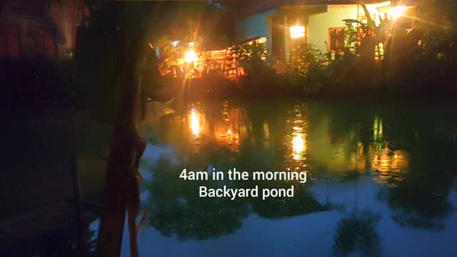 4am in our backyard pond