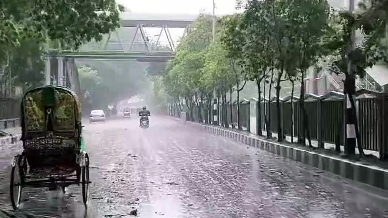 romantic beautiful rain videos shots