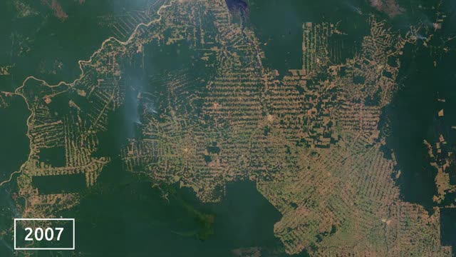 Satellite images of the Amazon rainforest between 2000 and 2012