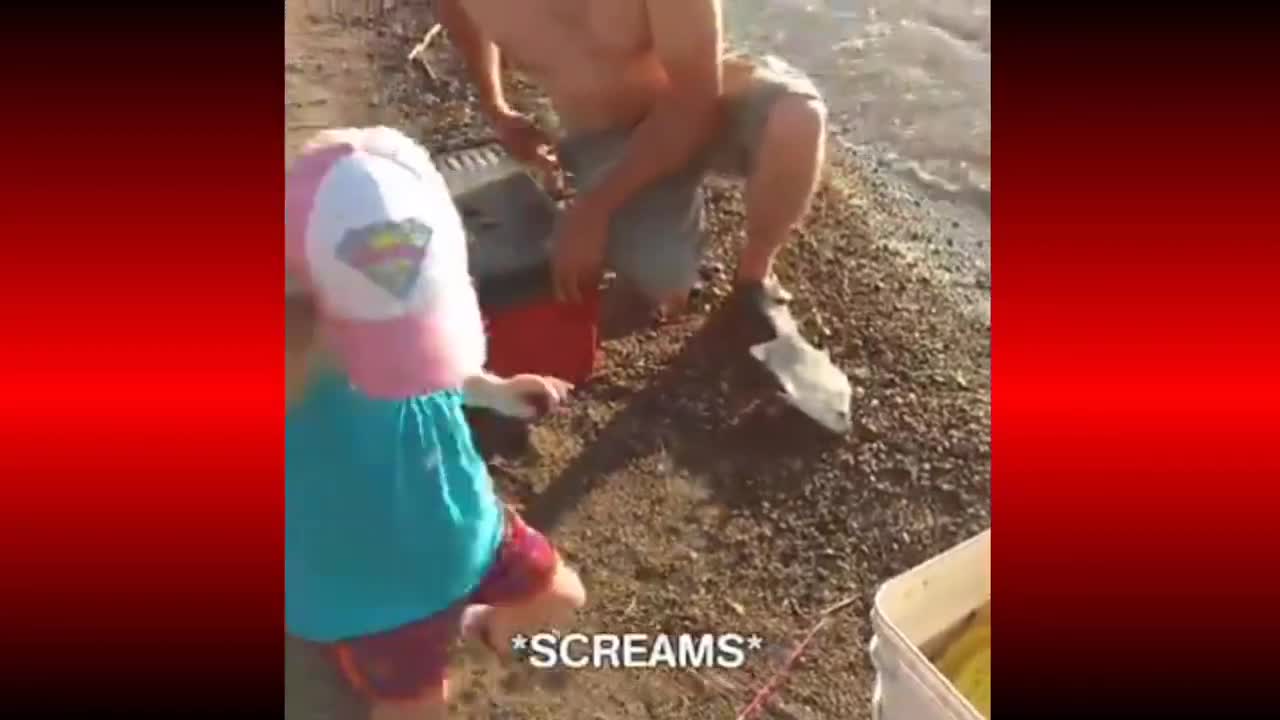 Baby vs Fish crazy compilation