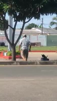 Graban a un hombre que tiraba misteriosamente de un camión de juguete con un pequeño perrito