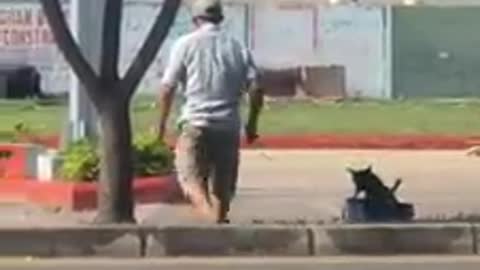 Graban a un hombre que tiraba misteriosamente de un camión de juguete con un pequeño perrito