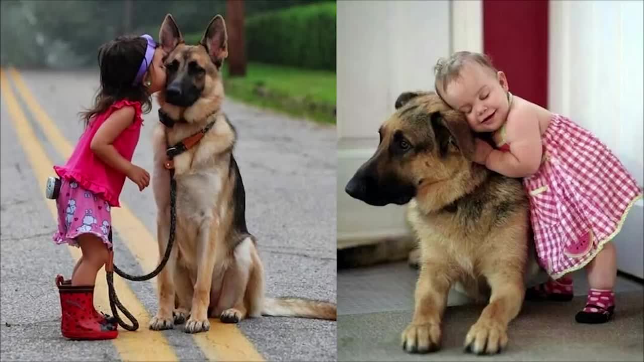 Babies and German Shepherd Dog are always Close Friends - Cute Baby