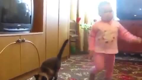 Mama Cat Takes Back Crying Kitten From Toddler