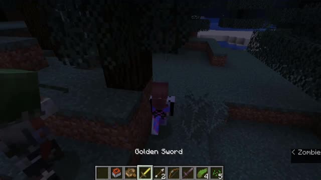 Minecraft 1.17.1_ Modded_Shorts_Outting_68