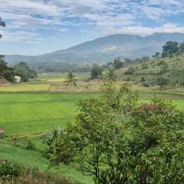 Any trip through Bukidnon will give you amazing views.