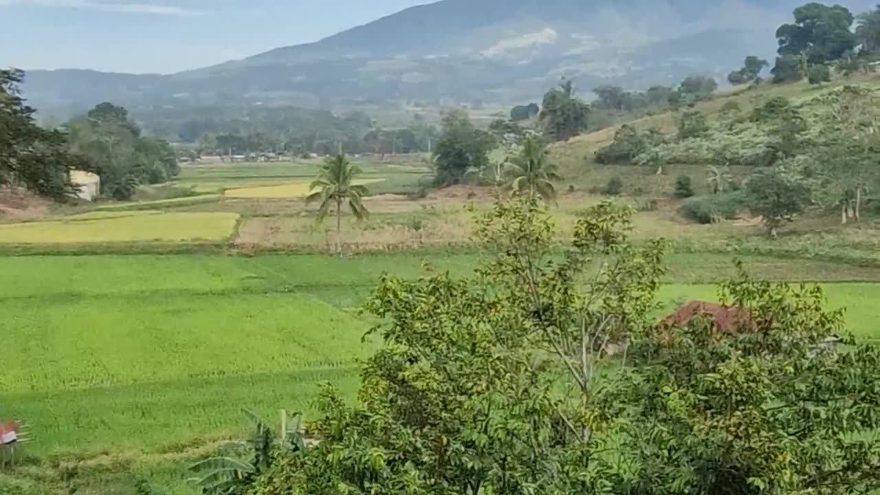 Any trip through Bukidnon will give you amazing views.