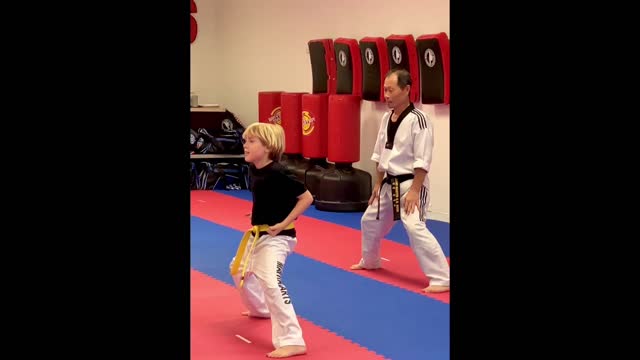 Taekwando practice