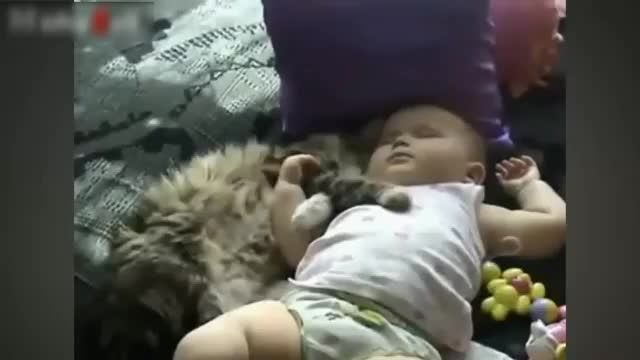 Best Of Funny Cats And Dogs Love Babies Compilation