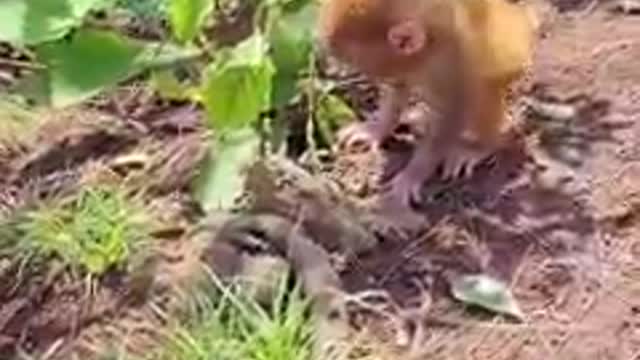 How Lovely This Beautiful Video On Facebook