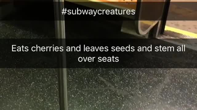 Cherry stems and seeds on orange seat