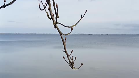 Ostsee bei Wismar