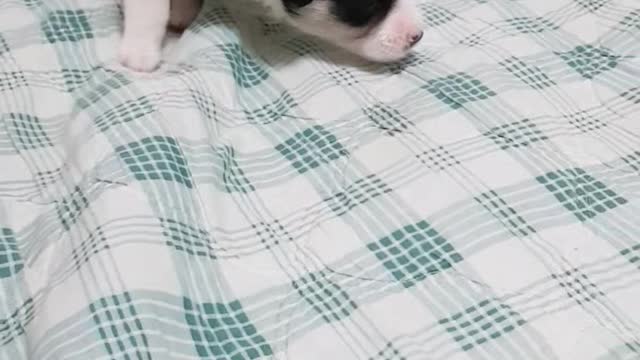 Our baby is hard at work