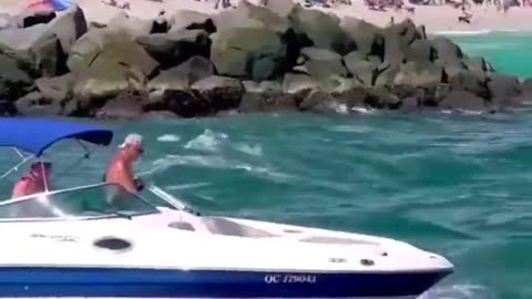 Hilarious Boat Catastrophe!”