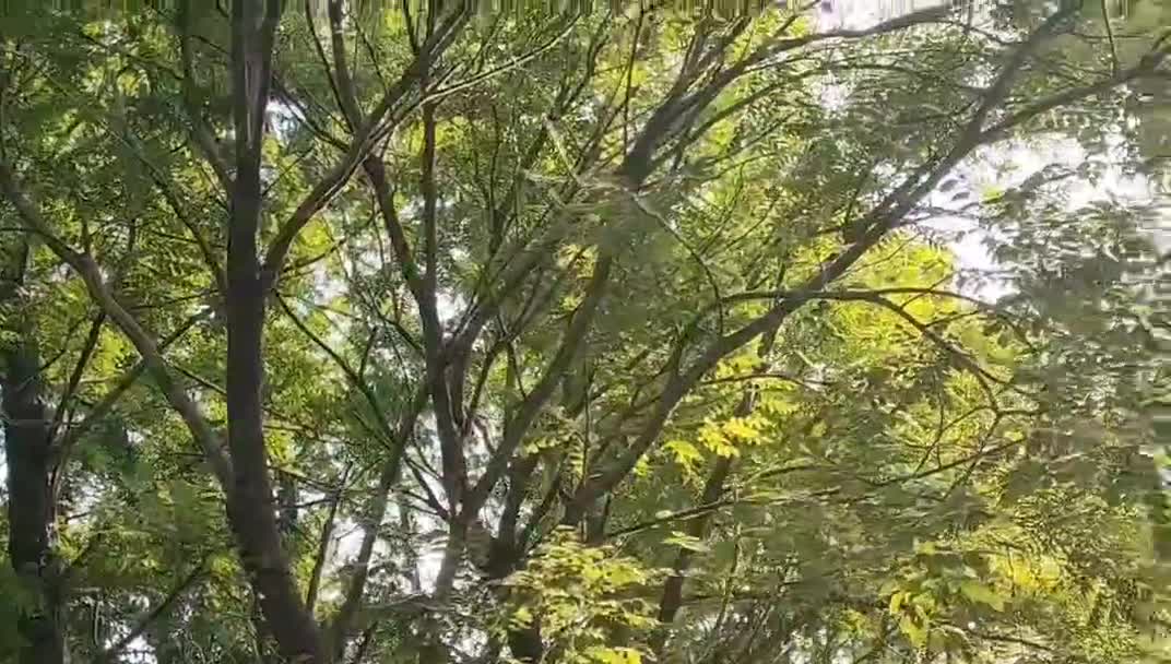 The scenery of nature makes me have a good mood