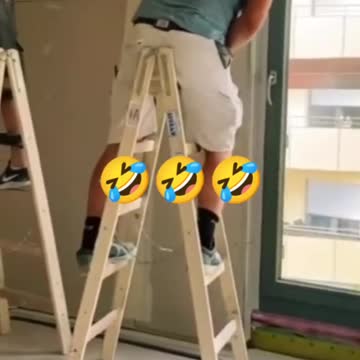 funny|prank|jokes|funny jokes|dad jokes|funny memes|funny video|fun|laughing|funny animal|knock