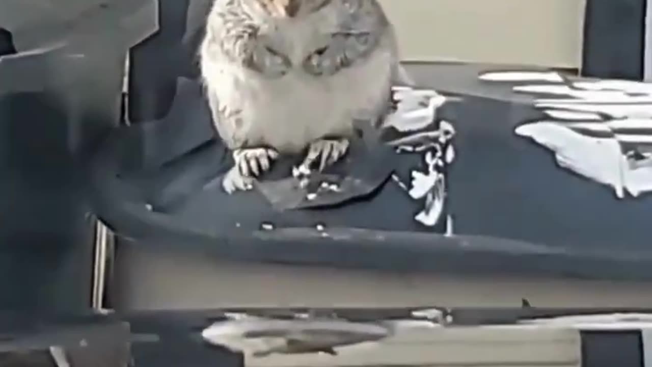 The Epic Fail Compilation: Laugh 'til You Cry😂😂