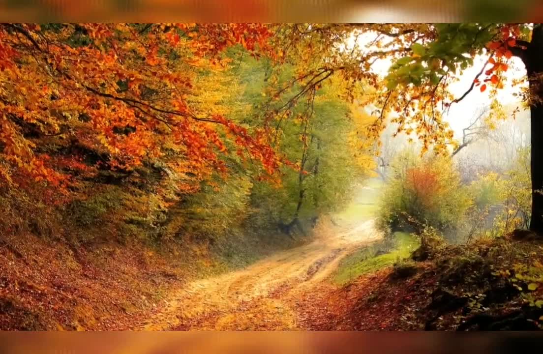 Meditation video with best soul fresh music