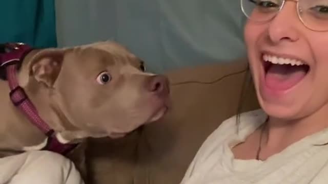 Girls and dog barking each other 🤣🤣🤣