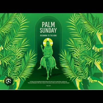 Post palm 🌴 Sunday 2024 day after