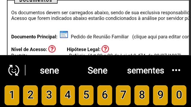 Sei não permite cadastrar "INTERESSADOS.