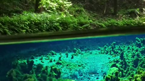 Beautiful Nature