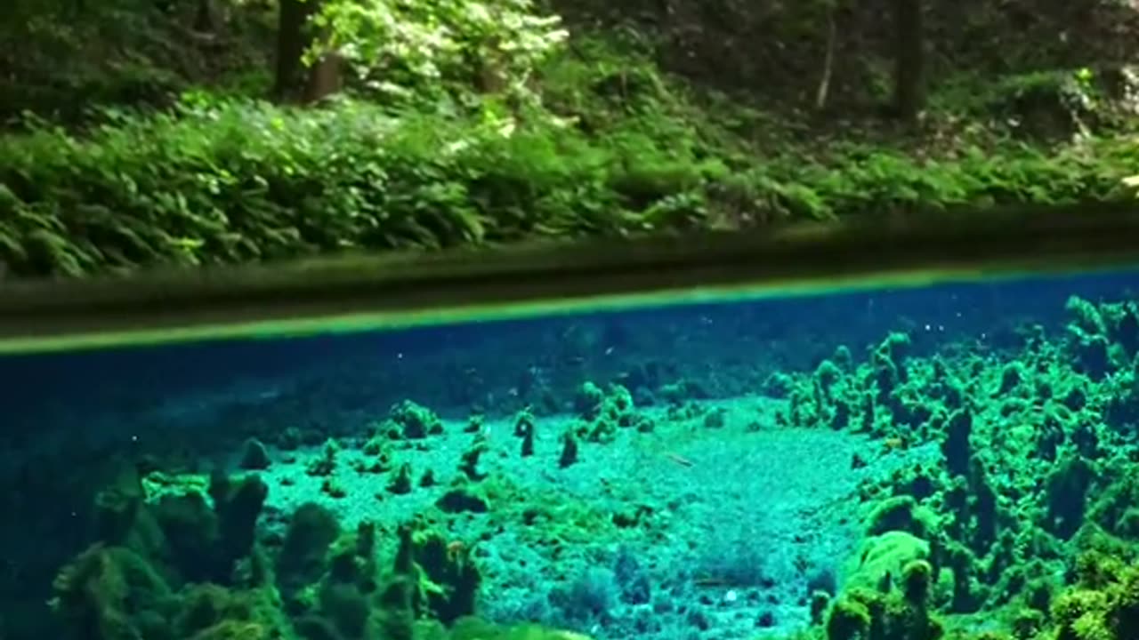 Beautiful Nature