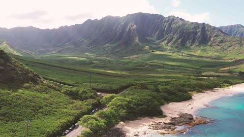 Lush Of Greens In The Seaside