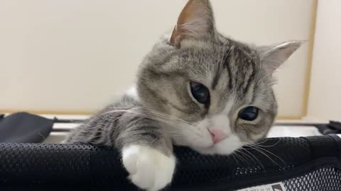 He looks at me as if I'm sleeping late