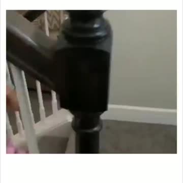 Calling a child a Democrat is abuse 😂