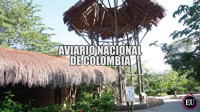 Así sobrevive el Aviario Nacional de Colombia